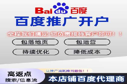 案例分析：百度推广排名提升的优化策略